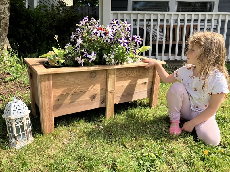 A girl kneeling in the grass next to a long cedar planter box full of petunias