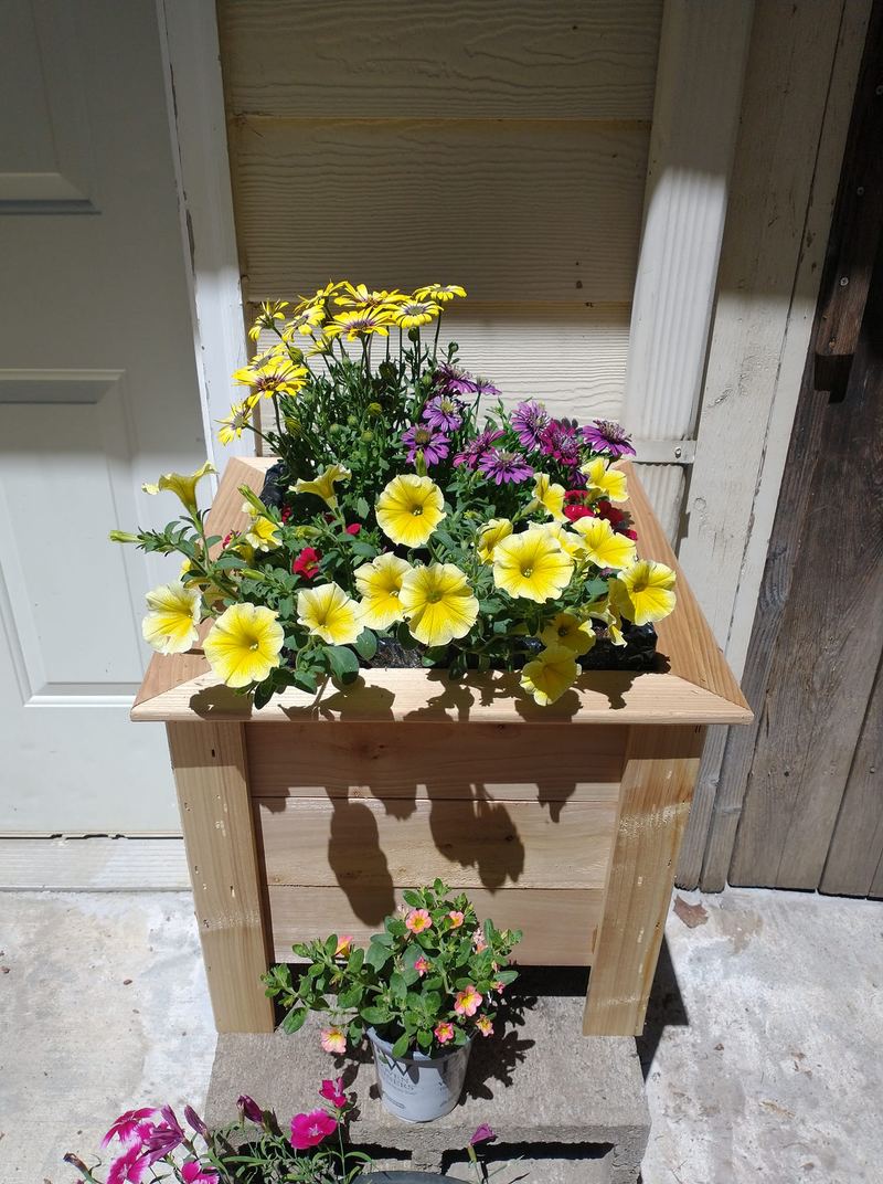 A cedar planter box overflowing with yellow and purple flowers by a doorway