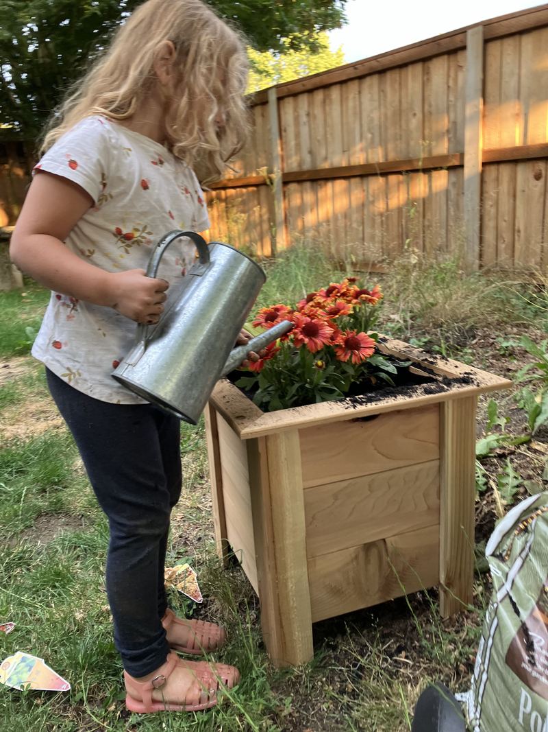 A girl with a watering can tending flowers in a cedar planter box by a fence