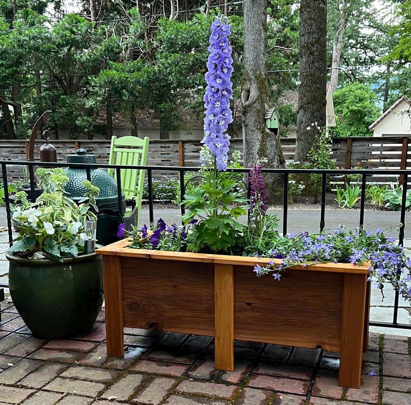 A long cedar planter box full of purple and white flowers and tall blue delphinium on a brick patio